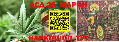 молекула духа Славгород