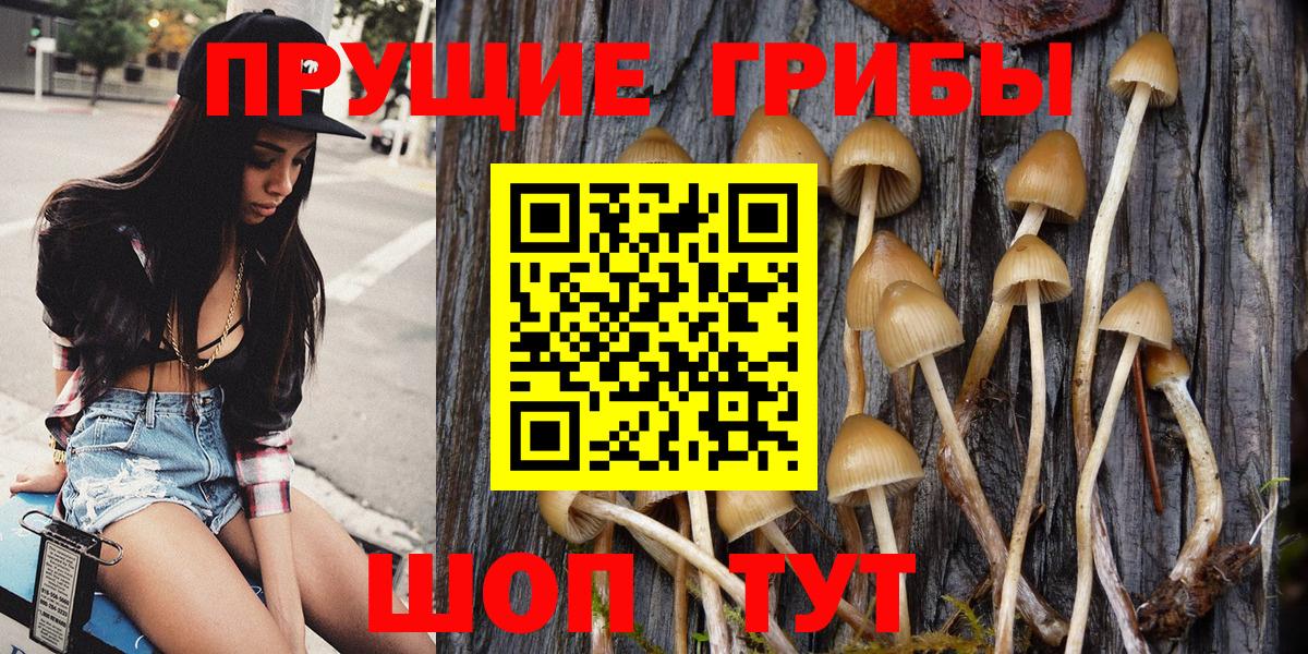 Приморско-Ахтарск  Псилоцибиновые грибы GOLDEN TEACHER  Вход с VPN 